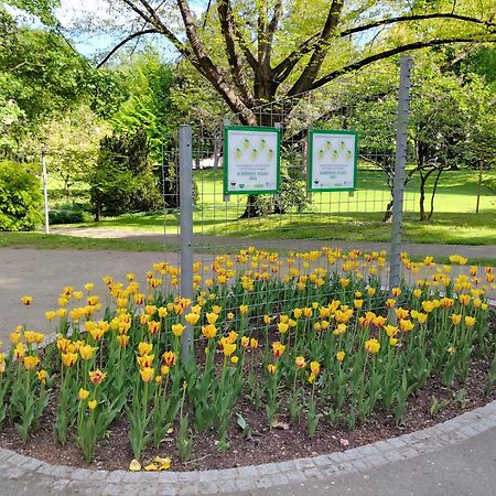 Wohnung In Leoben Zentrum Zwischen Hauptplatz Und Stadtpark Eksteriør billede
