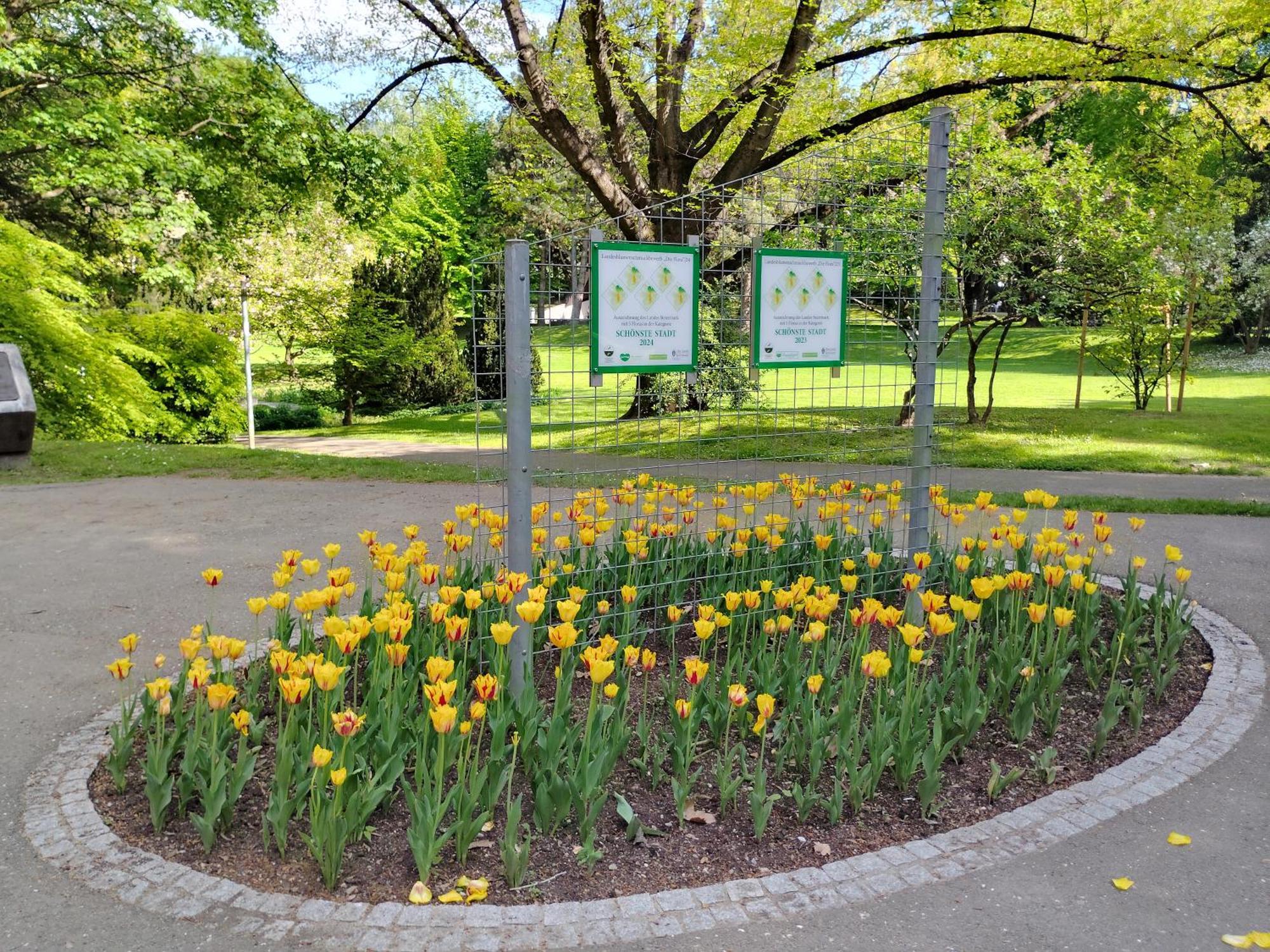Wohnung In Leoben Zentrum Zwischen Hauptplatz Und Stadtpark Eksteriør billede