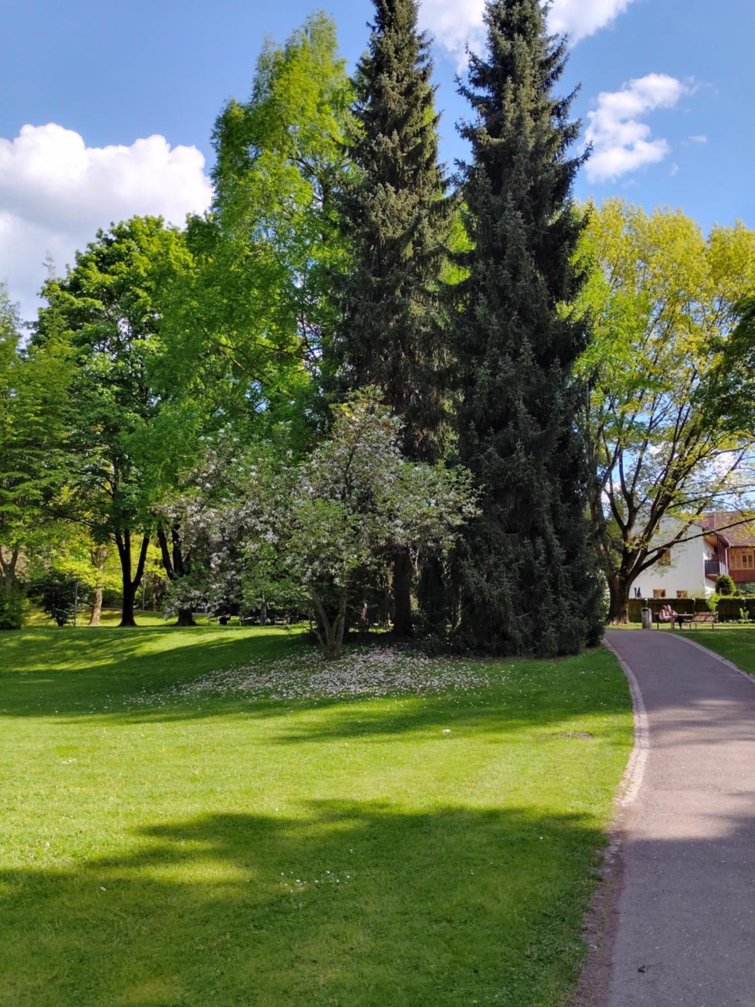 Wohnung In Leoben Zentrum Zwischen Hauptplatz Und Stadtpark Eksteriør billede